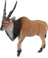 Schleich Gazelle De Thomson – Figurine Réaliste 2x9x10 Cm – Dès 3 Ans, Collection WILD LIFE, Détails Authentiques