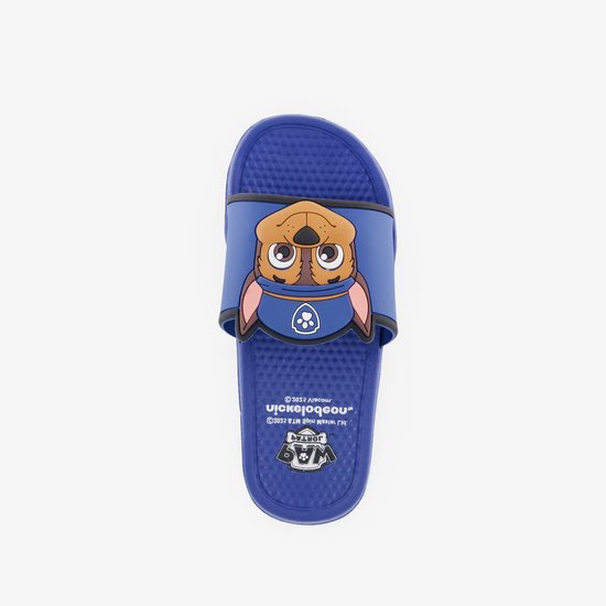 Crocs Paw Patrol Crocband IV Clog T 208853-425 Kinderen Blauw Slippers