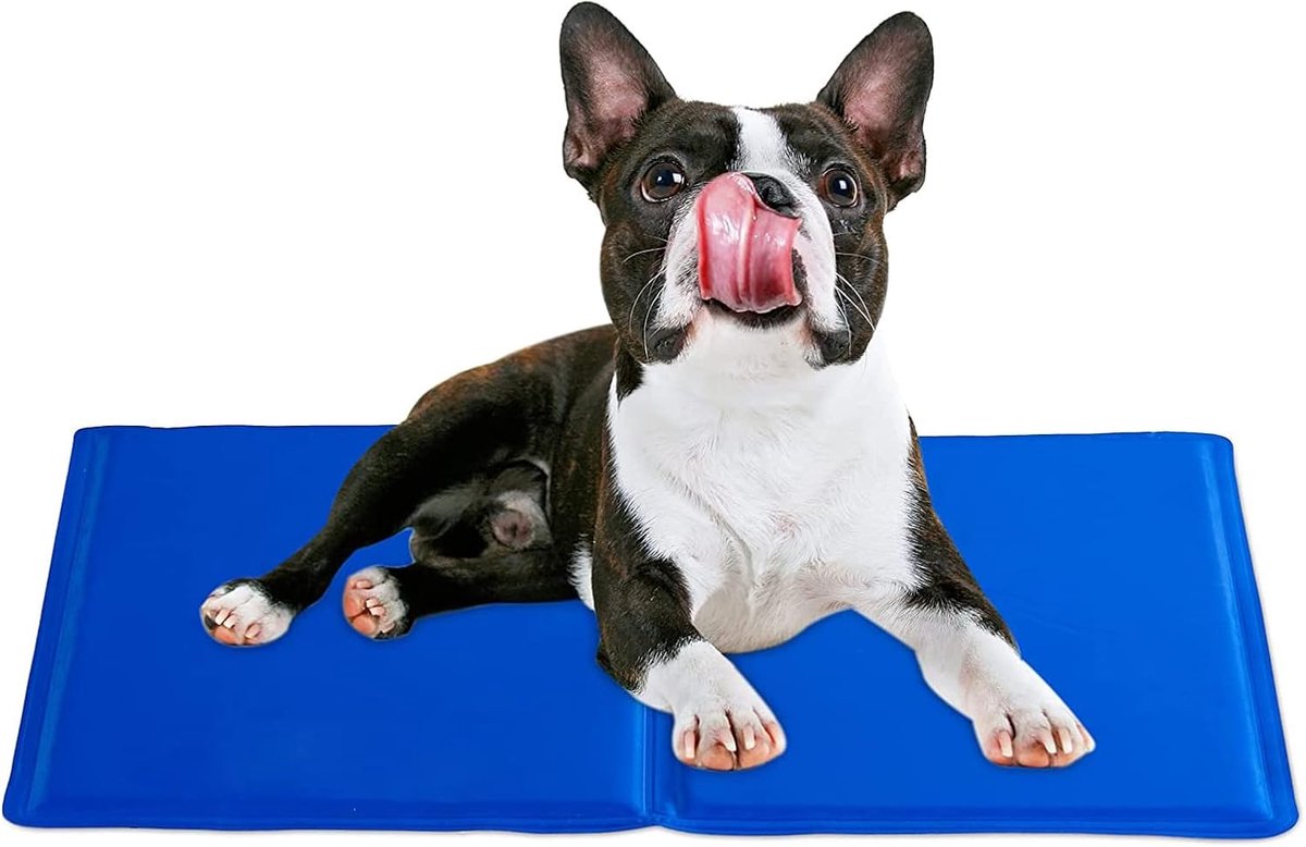 Zelfkoelende Hond Mat voor Huisdieren - 65x50 cm Koelmat met Niet-Giftige Gel voor Zomer Comfort