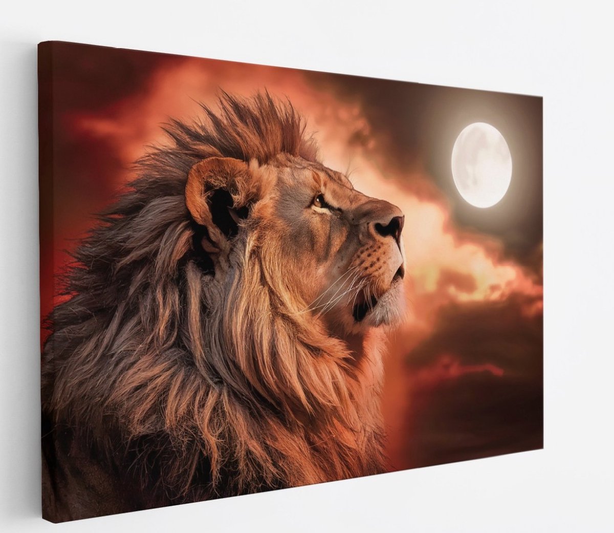 Saammp Canvas Schilderij - Leeuw met de maan - Dieren - Natuur - 40x30 - Foto op canvas - Wanddecoratie - Muurdecoratie Woonkamer - Slaapkamer decoratie - Canvas Print Multicolor