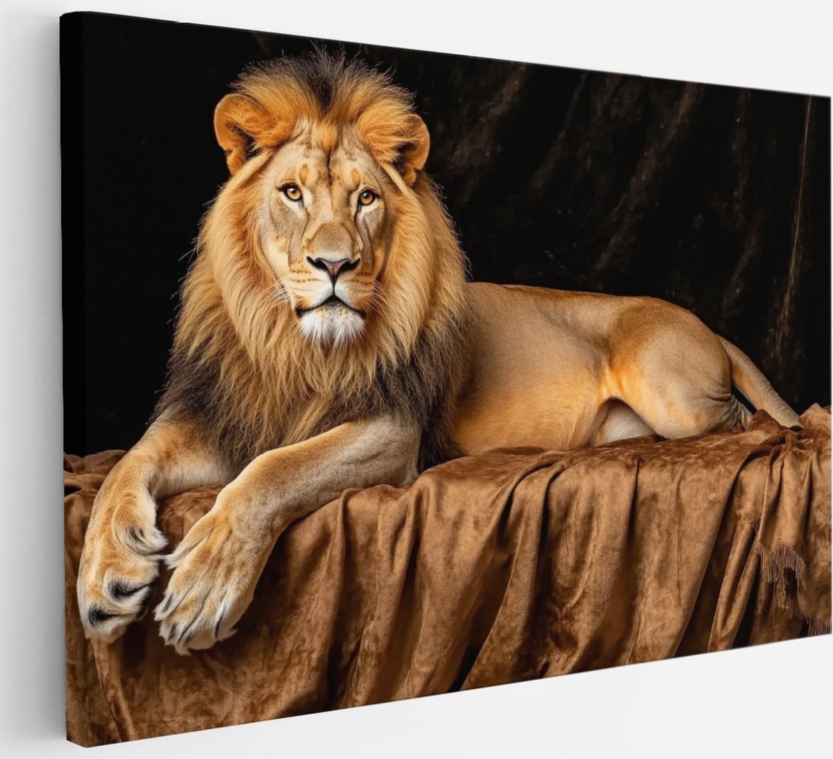 Saammp Canvas Schilderij - Leeuw op deken - Kunst - Dieren - Abstract - 30x20 - Foto op canvas - Wanddecoratie - Muurdecoratie Woonkamer - Slaapkamer decoratie - Canvas Print Multicolor