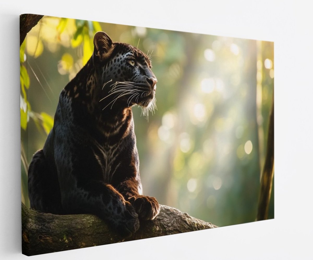 Saammp Canvas Schilderij - zwarte panter op boom in zonsondergang - Natuur - Dieren - 70x50 - Foto op canvas - Wanddecoratie - Muurdecoratie Woonkamer - Slaapkamer decoratie - Canvas Print Multicolor
