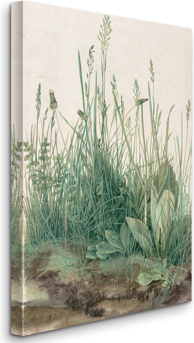 Albrecht Dürer - The Large Piece of Turf - Het grote graszode - 3:2