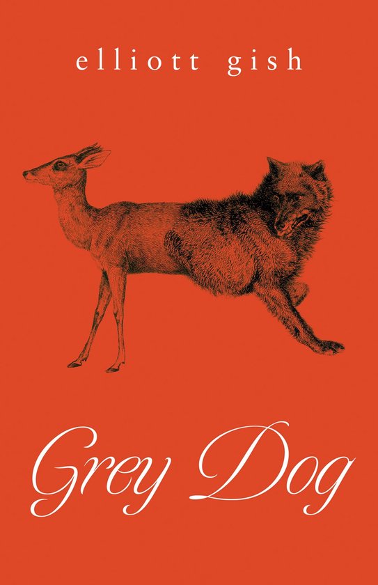 Grey Dog - cover