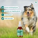 Rennde coll die direct verlichting van jeuk biedt, geschikt voor dagelijks gebruik, hypoallergeen en 100% natuurlijk.