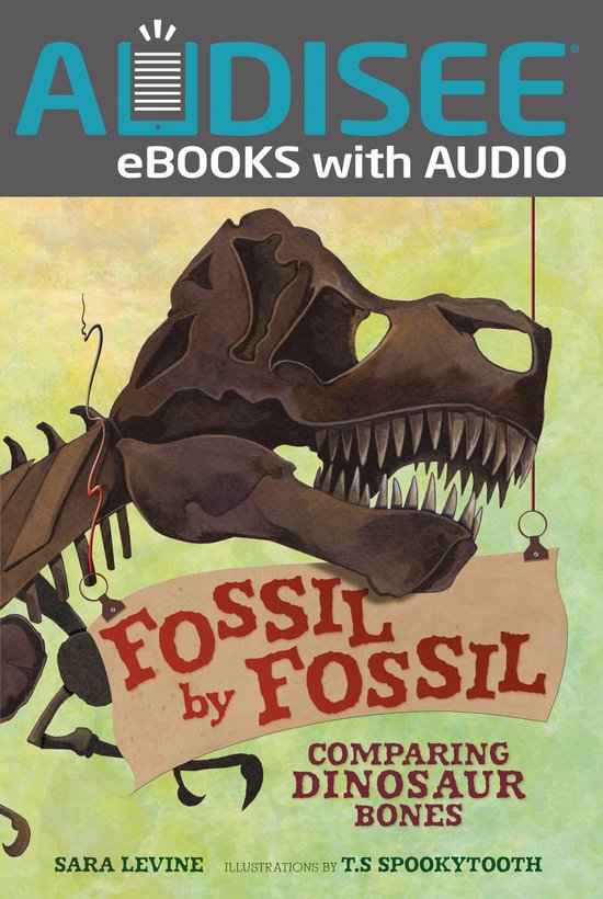 Animal by Animal - Fossil by Fossil - cover