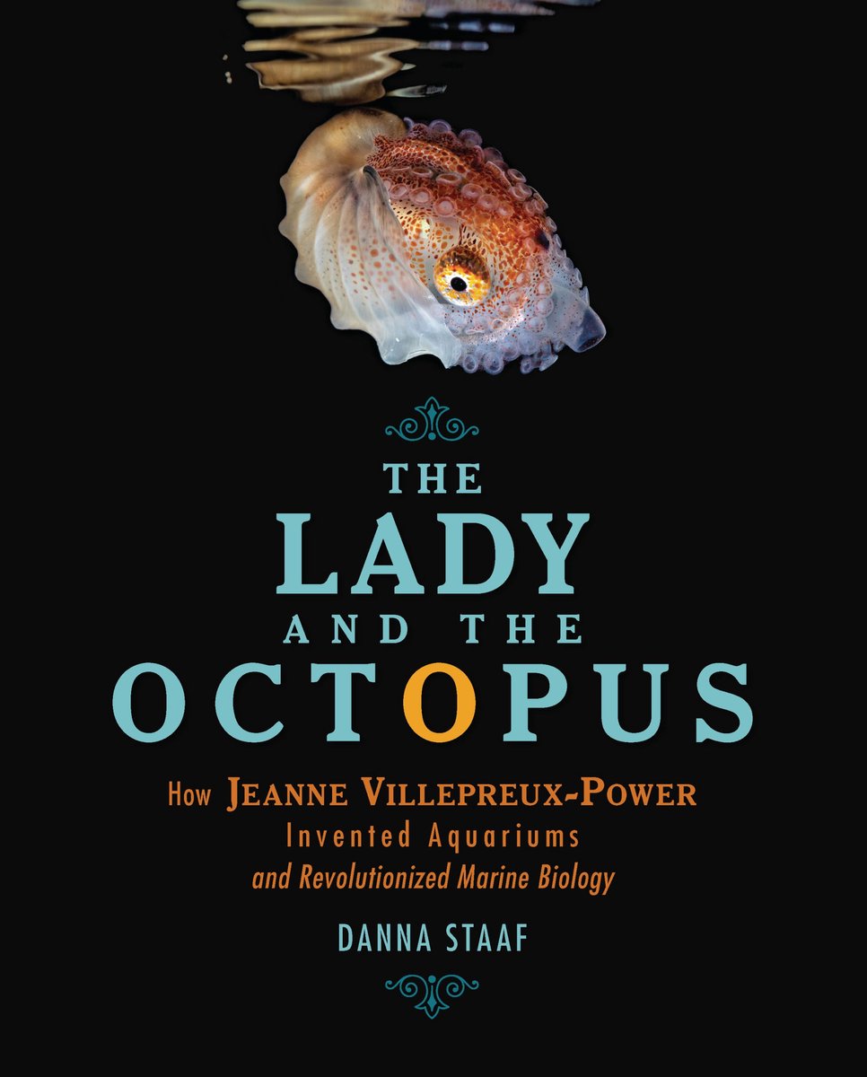Omslag van The Lady and the Octopus