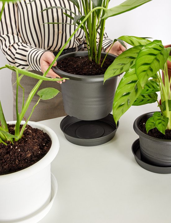 Spetebo XXL plantenbak antraciet - 30 cm - kunststof bloempot groot bloempot plantenbak