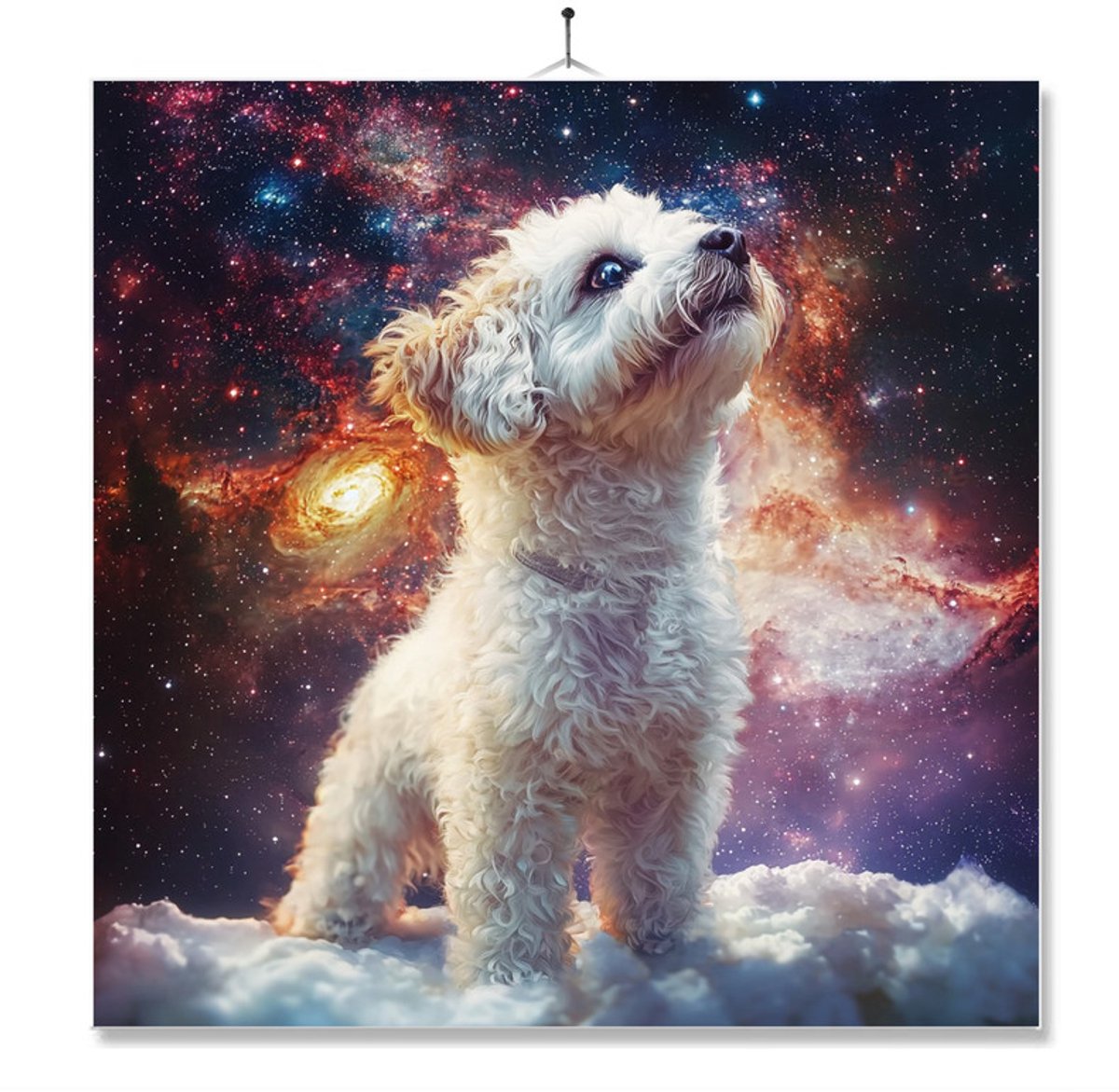 Tegel Met Opdruk | Galaxy | Maltezer
