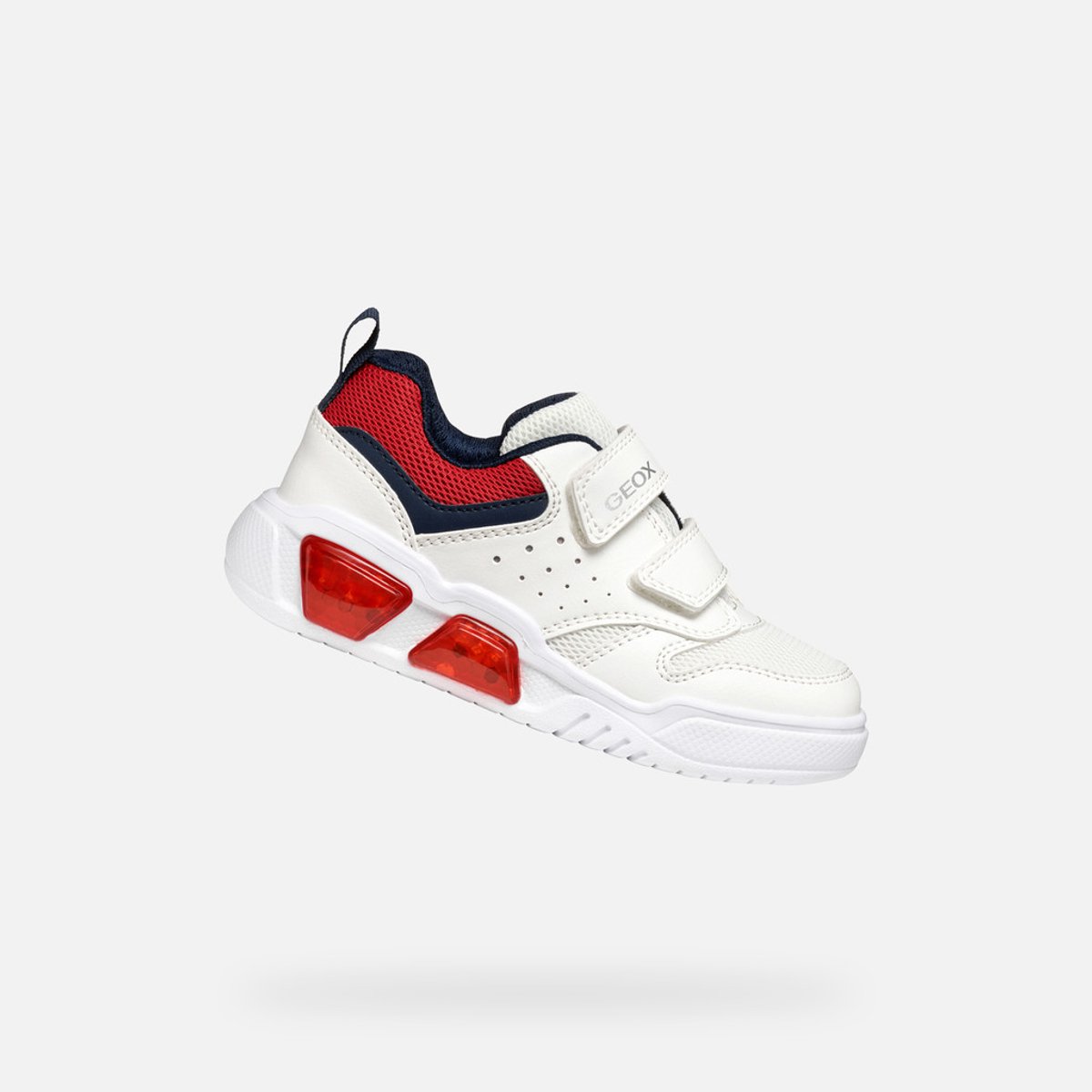 Wit/Rood