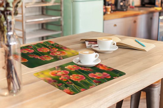 Placemats - 6 stuks - 45x30 cm - Placemat kunststof - Bloemenveld - Zonnestralen - Oranje - Borden onderleggers - Decoratie voor op tafel - Keuken tafeldecoratie accessoires - Vinyl onderlegger - Tafelversiering
