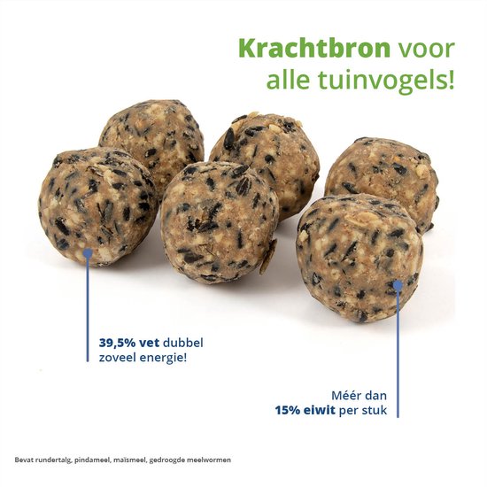 Zes mezenbollen met veel zaden en noten, met tekst over energie en eiwit.