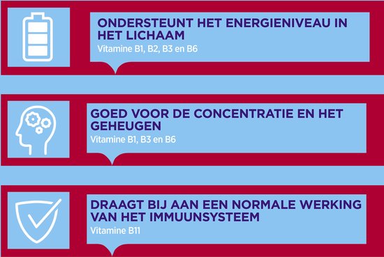 Drie iconen met tekst: batterij voor energieniveau, hoofd met tandwiel voor concentratie en geheugen, schild voor immuunsysteem.