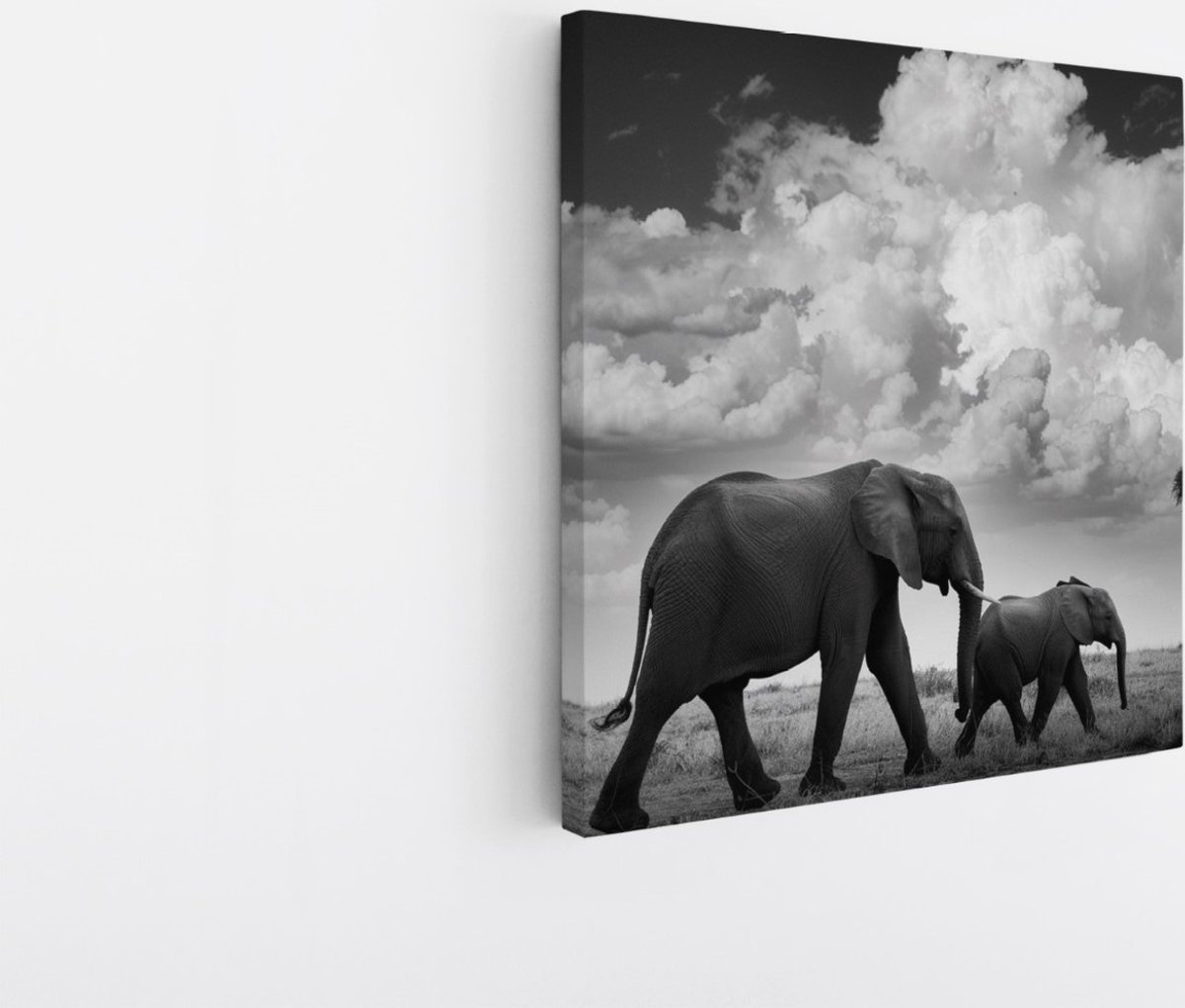 Saammp Canvas Schilderij - 2 Olifanten - Familie - Dieren - 40x40 - Foto op canvas - Wanddecoratie - Muurdecoratie Woonkamer - Slaapkamer decoratie - Canvas Print Multicolor