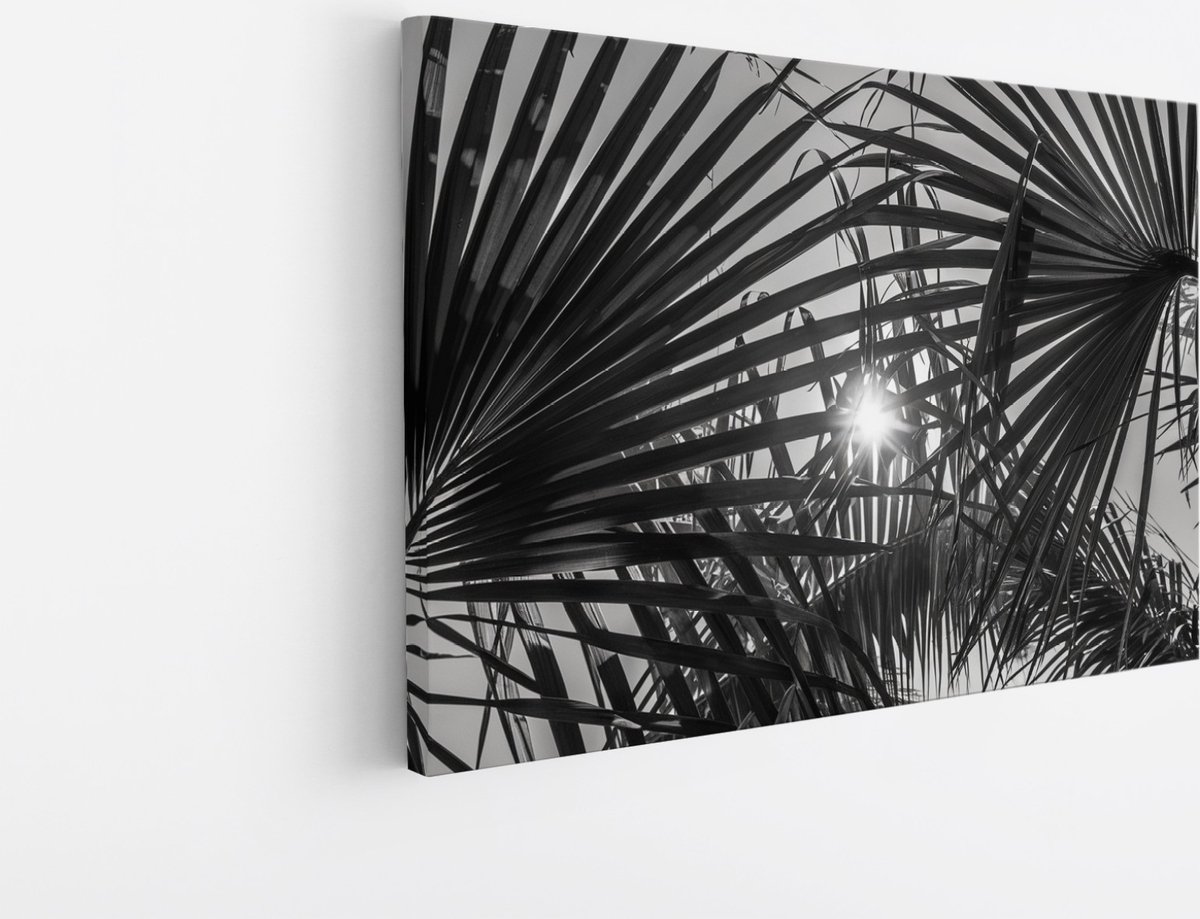 Saammp Canvas Schilderij - Zon tussen de planten - Zwart-Wit - Landschap - Natuur - 90x60 - Foto op canvas - Wanddecoratie - Muurdecoratie Woonkamer - Slaapkamer decoratie - Canvas Print Multicolor