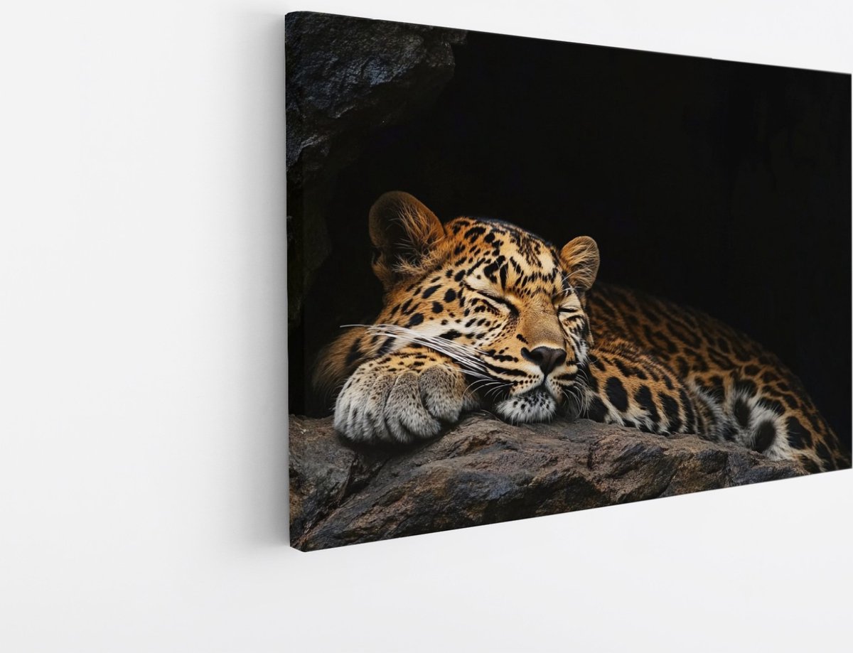 Saammp Canvas Schilderij - Slapende Luipaard - Schattig - Natuur - Dieren - 45x30 - Foto op canvas - Wanddecoratie - Muurdecoratie Woonkamer - Slaapkamer decoratie - Canvas Print Multicolor