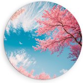 Saammp Cercle Mural Bois - Arbres Roses - Nature - Paysage - Ø 70 - Cercle Mural - Décoration murale Cercle - Décoration murale Salon - Décoration Chambre - Tableau Rond