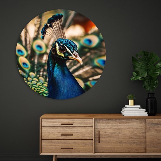 Cercle mural Saammp Forex - Paon en gros plan - Fleurs - Animaux - Nature - Ø 50 - Cercle mural - Cercle de Décoration murale - Décoration murale Salon - Décoration de chambre - Peinture ronde
