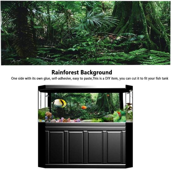 3D Effect Regenwoud Poster Zelfklevend Reptiel Terrarium Aquarium