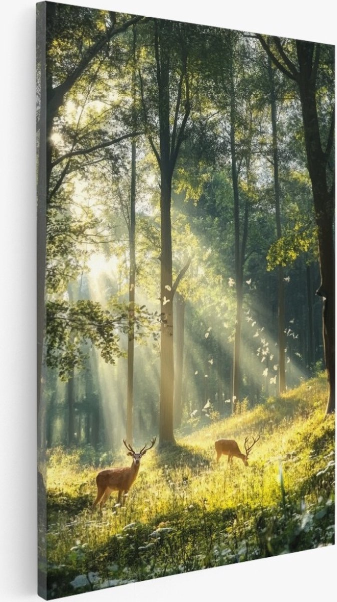 Saammp Canvas Schilderij - Herten in de zonneschijn in het bos - Natuur - Dieren - 75x100 - Foto op canvas - Wanddecoratie - Muurdecoratie Woonkamer - Slaapkamer decoratie - Canvas Print Multicolor