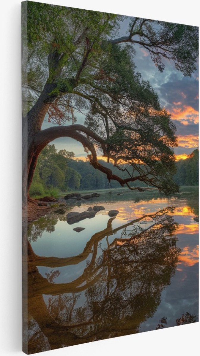 Saammp Canvas Schilderij - Scheve Boom met zonsondergang - Bloemen - Landschap - Natuur - 40x50 - Foto op canvas - Wanddecoratie - Muurdecoratie Woonkamer - Slaapkamer decoratie - Canvas Print Multicolor