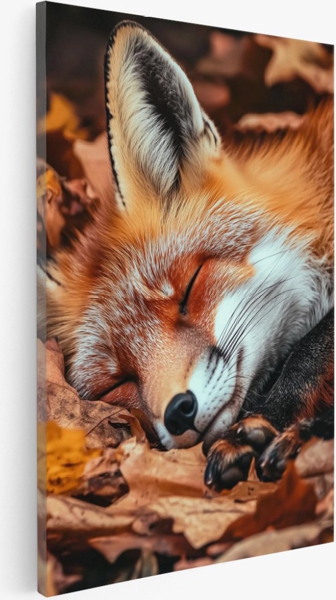 Saammp Canvas Schilderij - Slapende Vos - Dieren - Natuur - 40x60 - Foto op canvas - Wanddecoratie - Muurdecoratie Woonkamer - Slaapkamer decoratie - Canvas Print Multicolor