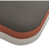 AIREX gymnastiekmat Coronella 200 Platina