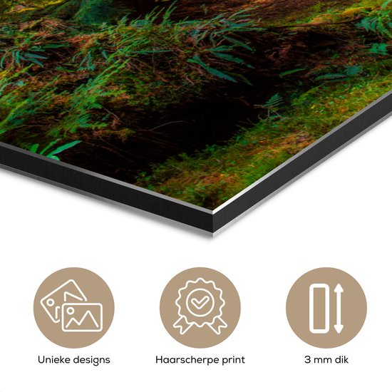 Aluminium schilderij 120x90 cm - Wanddecoratie metaal - Bos - Pad - Bomen - Groen - Zon - Natuur - Metalen muurdecoratie woonkamer - Decoratie industrieel - Foto op dibond - Industriële accessoires slaapkamer