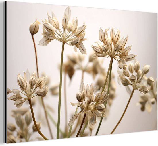 Aluminium schilderij 150x100 cm - Wanddecoratie metaal - Droogbloemen - Beige - Wit - Planten - Metalen muurdecoratie woonkamer - Decoratie industrieel - Foto op dibond - Industriële accessoires slaapkamer