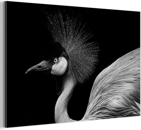 Aluminium schilderij 120x80 cm - Wanddecoratie metaal - Kraanvogel - Zwart - Wit - Vogel - Dieren - Metalen muurdecoratie woonkamer - Decoratie industrieel - Foto op dibond - Industriële accessoires slaapkamer