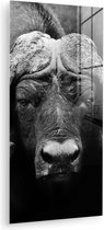 Peinture sur verre - Photo sur verre - Verre acrylique - Animaux - Buffalo - Zwart - Wit - Décoration murale animaux - 60x120 cm - Salon - Décoration chambre - Décoration murale