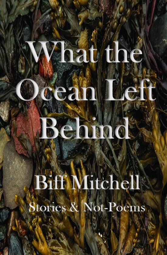 What the Ocean Left Behind - cover