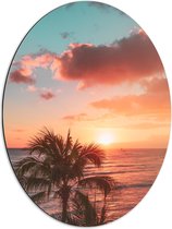 Dibond Ovaal - Palmboom en Zee bij de Zonsondergang - 51x68 cm Foto op Ovaal (Met Ophangsysteem)