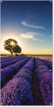 Tuinposter lavendel - Tuindecoratie bloemen - 80x160 cm - Wanddecoratie voor buiten - Schutting decoratie paars - Buitenposter - Paarse schuttingdoek - Tuindoeken - Tuin doek - Balkon poster