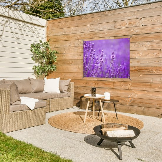 Tableau jardin Lavande - Gros plan - Fleurs - Violet - 80x60 cm - Affiche jardin - Toile jardin - Affiche extérieur