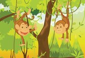 Fotobehang Jungle Monkey | XXL - 312cm x 219cm | 130g/m2 Vlies