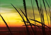 Papier peint Coucher de soleil sur la plage | XL - 208 cm x 146 cm | Polaire 130g / m2