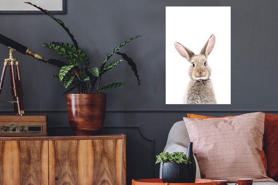 WandSticker4U - Muursticker drie katjes I muurschildering muur decoratie katten dieren huisdier kat I muurtattoo woonkamer slaapkamer badkamer