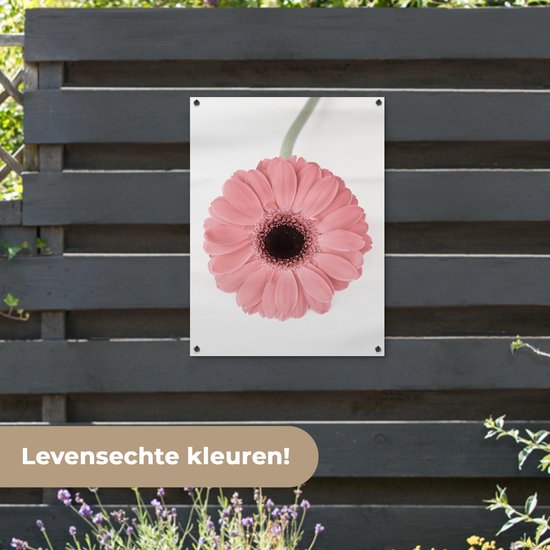 Tableau de jardin Bloem - Rose - Nature - Plante - 60x80 cm - Affiche de jardin - Toile de jardin - Affiche d'extérieur