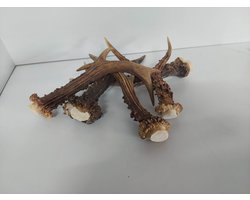DierOKÉ 5x hertengewei - S kauwsnack voor de hond - 100% natuurlijk - +/-80 gram - gewei - hondensnacks