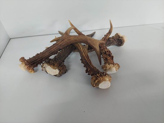 DierOKÉ 5x hertengewei - S kauwsnack voor de hond - 100% natuurlijk - +/-80 gram - gewei - hondensnacks
