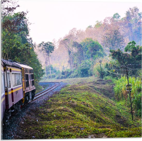 WallClassics - Verre acrylique - Train thaïlandais à travers la réserve naturelle verte en Thaïlande - 50x50 cm Photo sur verre acrylique (Décoration murale sur acrylique)