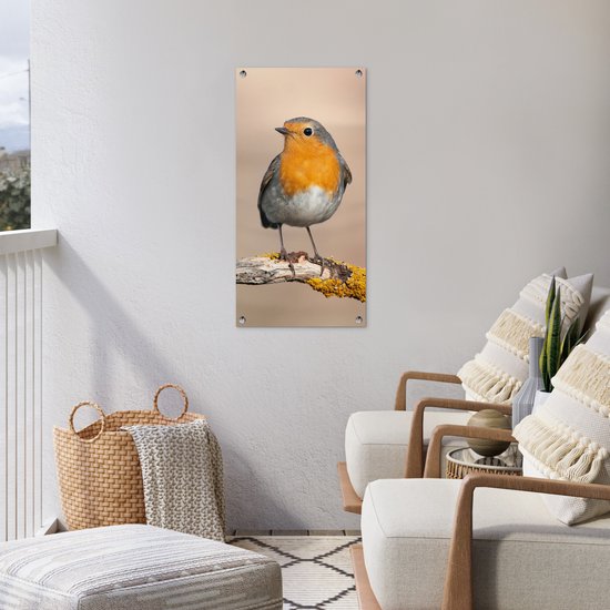 Tuinposter roodborstje aan een witte muur op een balkon met rieten mand en comfortabele stoelen.