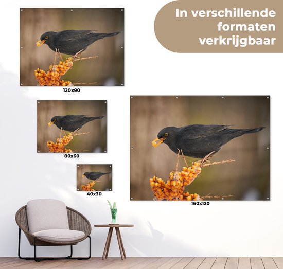 Décoration de Jardin Vogel - Merle - Hiver - Glace - Baie - 40x30 cm - Toile de jardin - Poster extérieur