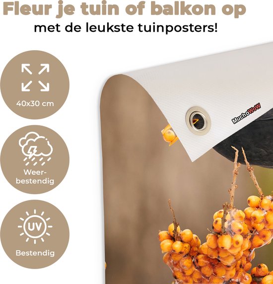 Décoration de Jardin Vogel - Merle - Hiver - Glace - Baie - 40x30 cm - Toile de jardin - Poster extérieur