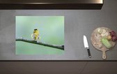 Inductieplaat Beschermer - Achteraanzicht van Zingend Geel Wilsons Vogeltje op een Tak - 60x52 cm - 2 mm Dik - Inductie Beschermer van Vinyl