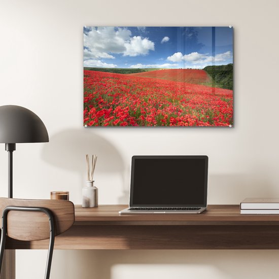 MuchoWow® Peinture sur verre 60x40 cm - Peinture sur verre acrylique - Coquelicots - Fleurs - Ciel - Photo sur verre - Peintures