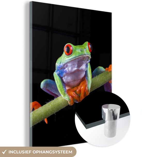 MuchoWow® Glasschilderij 120x160 cm - Schilderij acrylglas - Kikker - Plant - Zwart - Foto op glas - Schilderijen