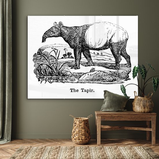 MuchoWow® Peinture sur verre 160x120 cm - Peinture sur verre acrylique - Illustration d'un tapir dans un champ en noir et blanc - Photo sur verre - Peintures