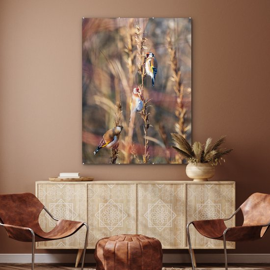 Peinture sur Verre - Vogels - Branches - Forêt - 90x120 cm - Peintures sur Verre Peintures - Photo sur Glas